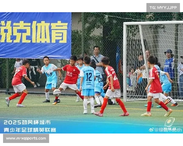 里昂十年间出售本泽马、拉卡泽特等青训精英，财务压力持续